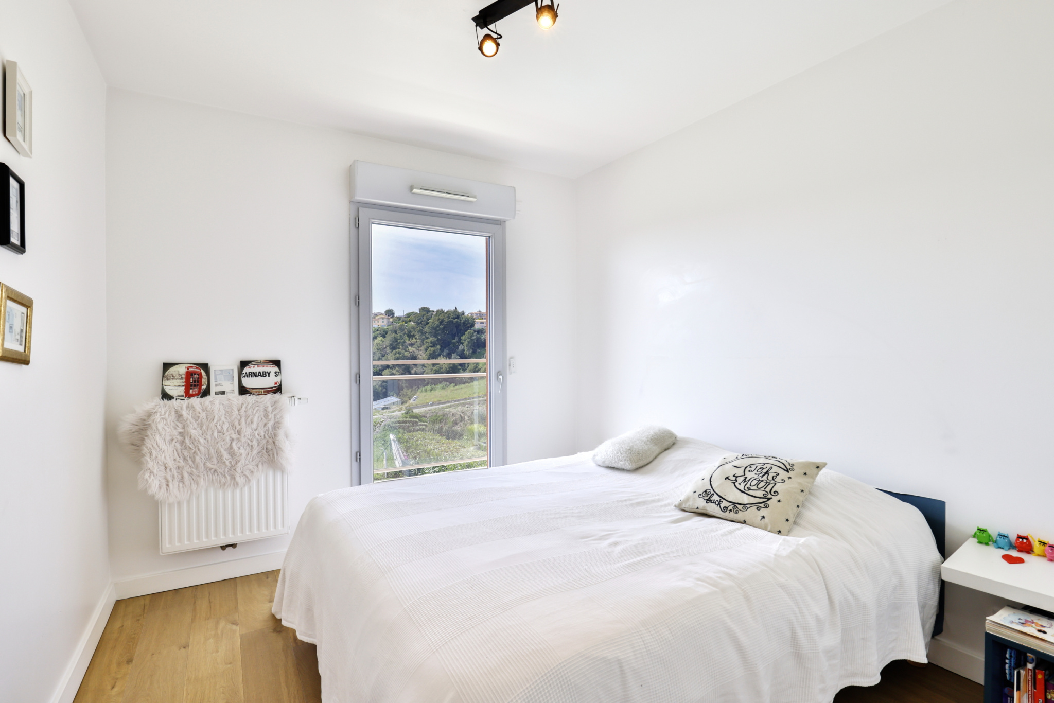 Image_, Appartement, Nice, ref :FR4504042